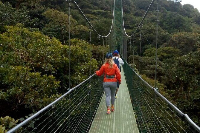 Full day to Monteverde from San Jose with Canopy and Reptil Amphibians watching - A Deep Dive into the Monteverde Experience