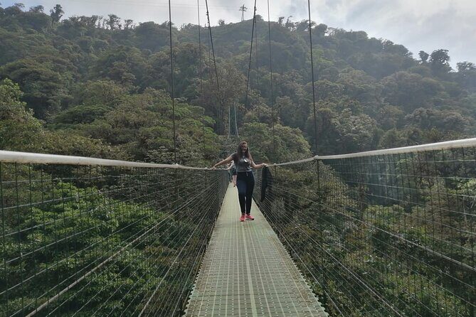 Full day to Monteverde from San Jose with Canopy and Reptil Amphibians watching - Overall Value and Practicality