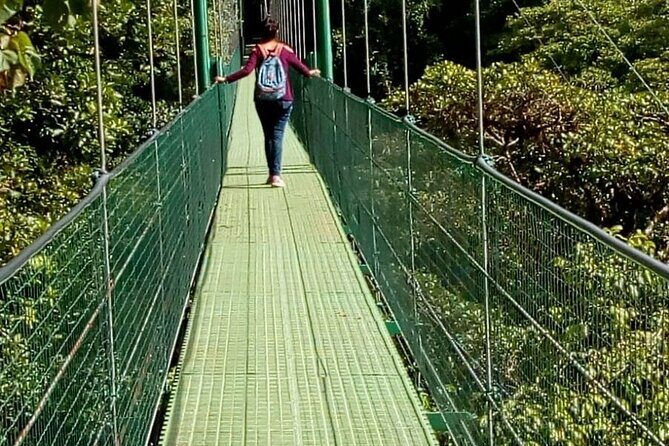 Full day to Monteverde from San Jose with Canopy and Reptil Amphibians watching - Who Will Benefit Most?