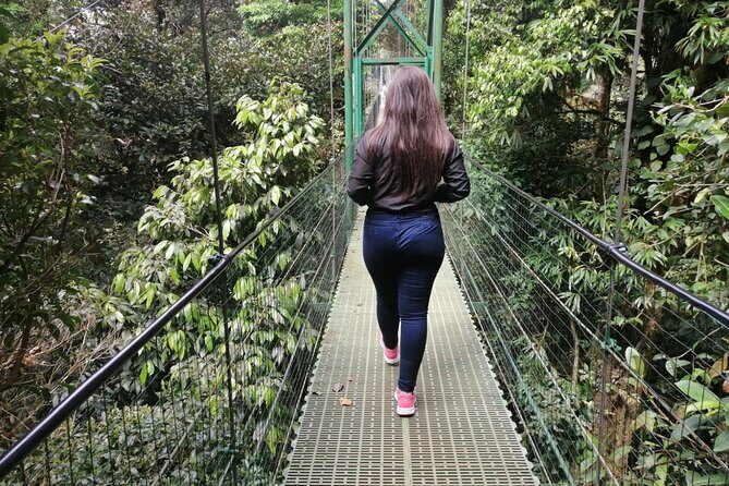 Full day to Monteverde from San Jose with Canopy and Reptil Amphibians watching - Final Thoughts