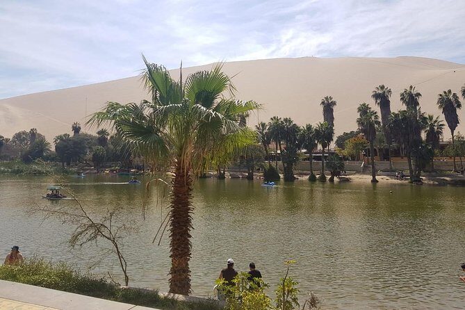 Full day to Paracas & Huacachina from Lima with Ballestas island & Sand boarding - The Sum Up: Who Is This Tour Best For?
