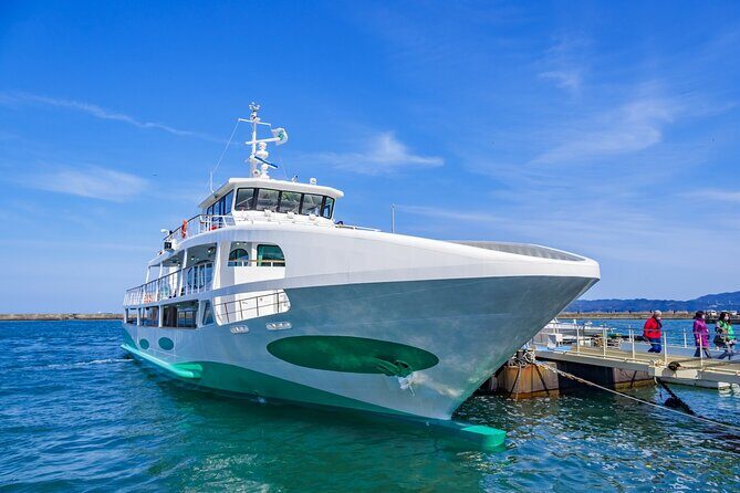 Full Day Tokushima Tour - A Deep Dive into the Full Day Tokushima Tour