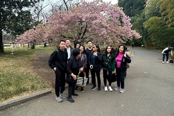 Full Day Tokyo Excursion with Guide-Driver 11-20guests - Final Thoughts