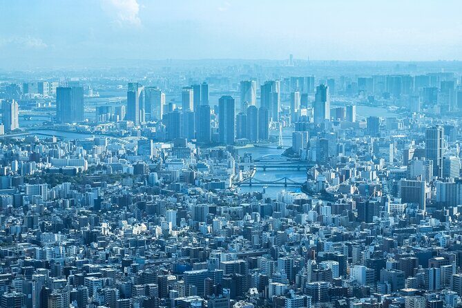 Full Day Tokyo Private Tour by Luxury Vehicle - FAQ