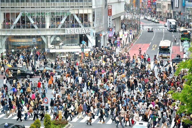 Full Day Tokyo Tour, From/To Tokyo,Yokohama, Narita, 2- 12 guests - Is It Worth the Price?