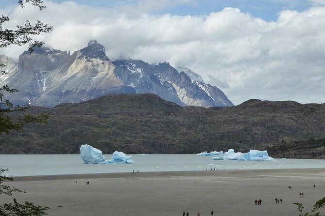 Full Day Torres del Paine, From Punta Arenas (Private Tours) - A Deep Dive into the Full-Day Tour of Torres del Paine