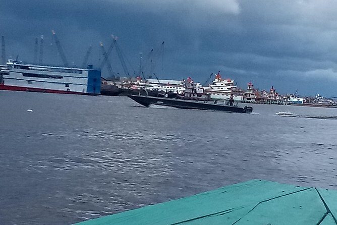 Full day tour amazon river 2020 - A Closer Look at the Amazon River Tour