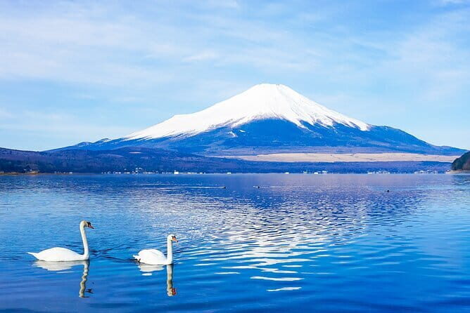 Full Day Tour at Mt. Fuji, Onsen, Lake Kawaguchi and Yamanaka - Experience the Best of Mount Fuji and Yamanaka in a Full Day