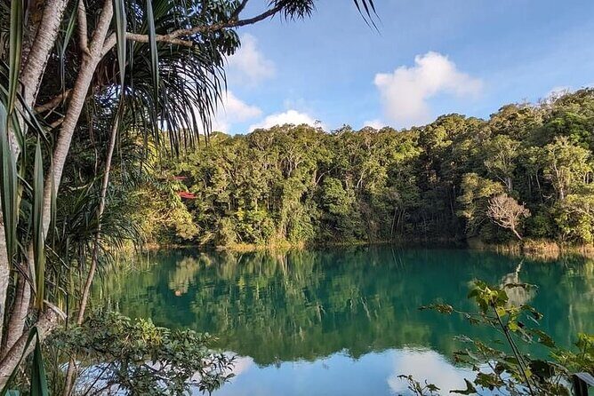 Full-day Tour at the Atherton Tablelands with Food Tasting - Full-Day Tour at the Atherton Tablelands with Food Tasting: A Journey Beyond the Reef