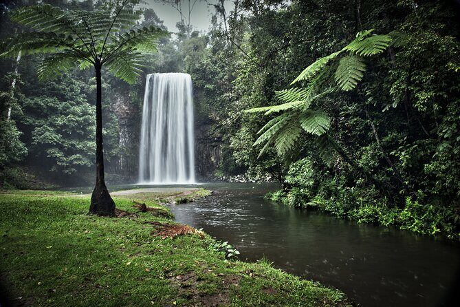 Full-day Tour at the Atherton Tablelands with Food Tasting - Exploring the Atherton Tablelands: What You Can Expect