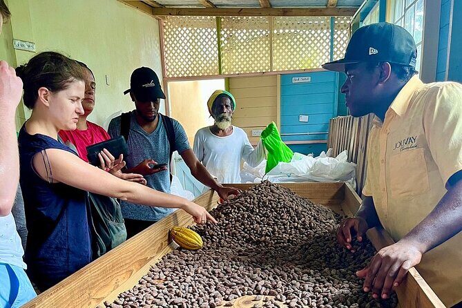 Full-Day Tour: Concord Waterfall, Chocolate Factory, Rum Distillery, Grand Etang - Final Thoughts