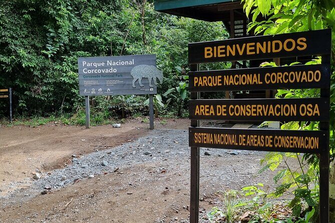 Full Day Tour Corcovado National Park. - Transportation and Practicalities