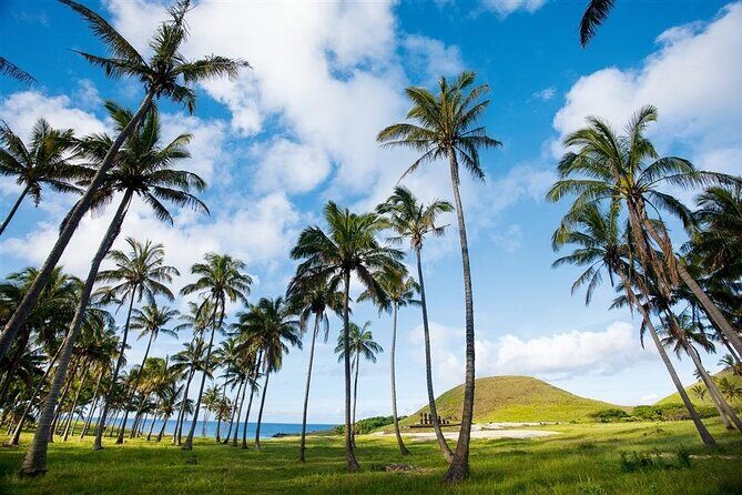 Full day tour - DREAM - Who Is This Tour Best For?