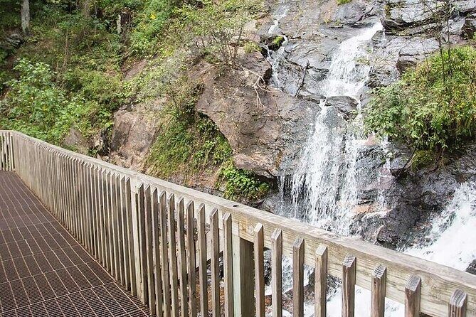 Full Day Tour from Atlanta to Amicalola Falls and Blue Ridge - A Closer Look at the Tour Experience