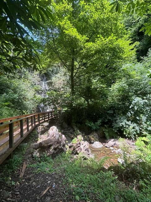 Full Day Tour from Batumi to Waterfalls - What to Expect From the Tour