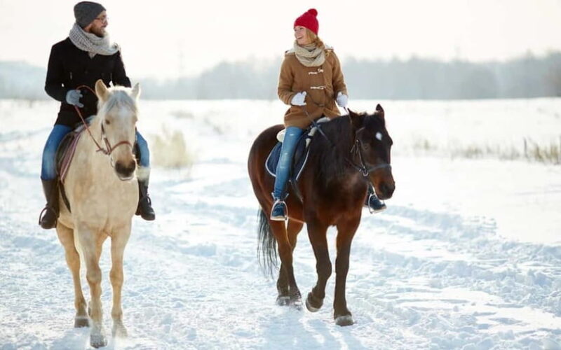 Full-Day Tour from Tashkent: Amirsoy, Chimgan & Charvak - Key Points