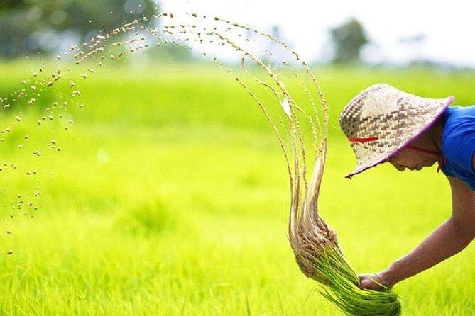 Full Day-Tour: Handicraft, Bamboo train, Killing cave. Bat cave - What We Think