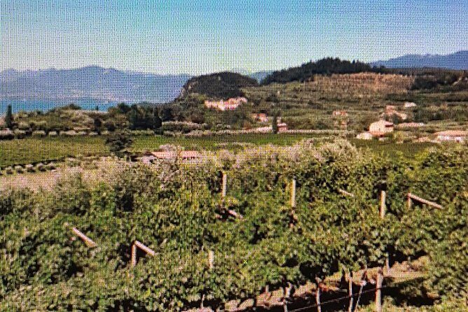 Full-Day Tour - I love Amarone Valpolicella & Verona - FAQs