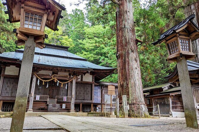 Full-Day Tour: Immerse in Takayama's History and Temples - A Detailed Look at the Experience