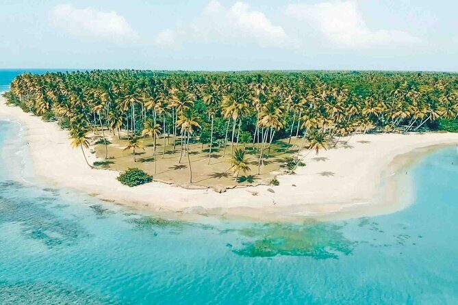 Full-Day Tour in Cap Cana with Buggy and Horseback Riding Experience - Who Might Not Enjoy It?