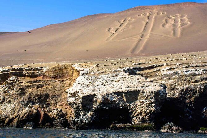 Full Day Tour in Ica Paracas and Huacachina from Lima - Final Thoughts