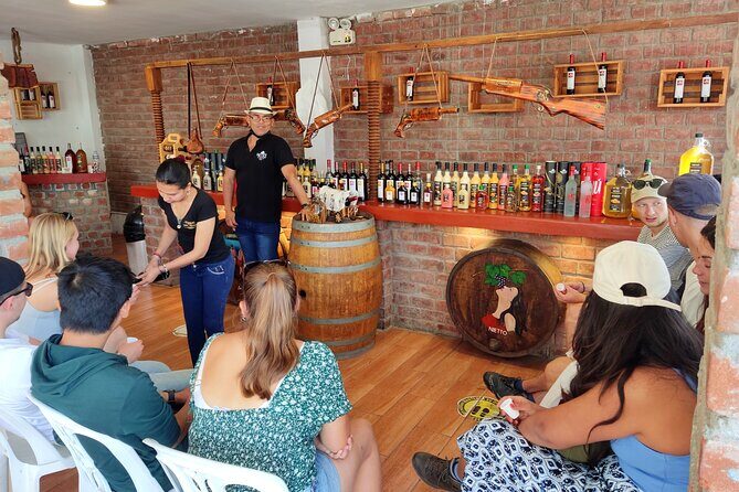 Full Day Tour in Lima Paracas Ica - Key Points