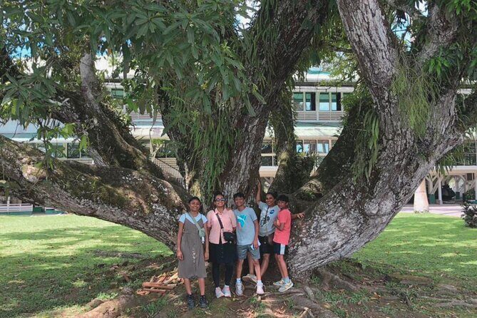 Full Day Tour in Linden Town with Lunch - Key Points