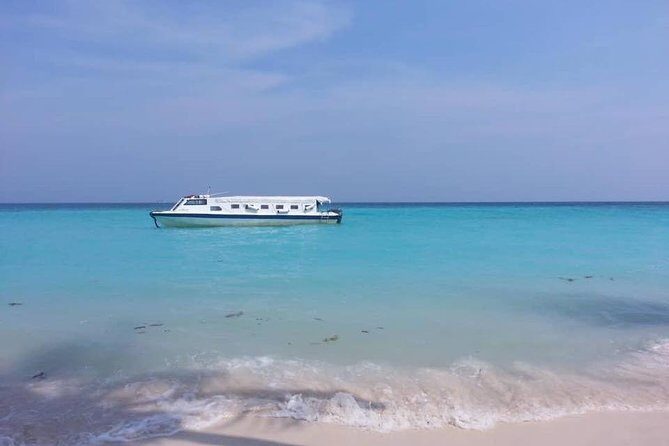 Full Day Tour in Mantanani - Authentic Insights from Travelers