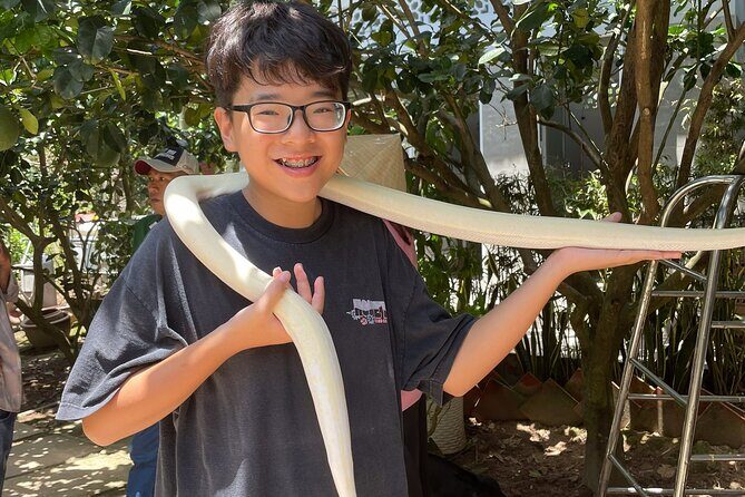 Full-Day Tour in Mekong Delta with Pick Up in Central District 1 - The Sum Up: Is It Worth Your Time?