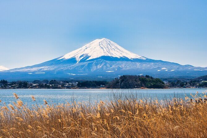 Full Day Tour in Mt. Fuji and Hakone with English Speaking Driver - A Personal Look at the Full Day Tour in Mt. Fuji and Hakone with an English-Speaking Driver