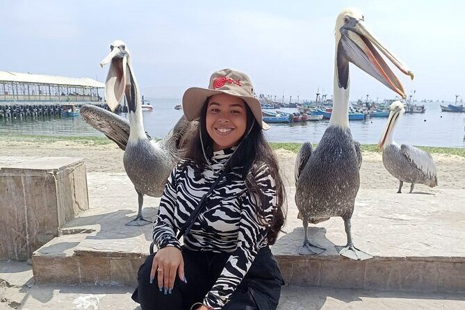 Full Day Tour in Paracas-Ica and oasis Huacachina - FAQs About the Tour