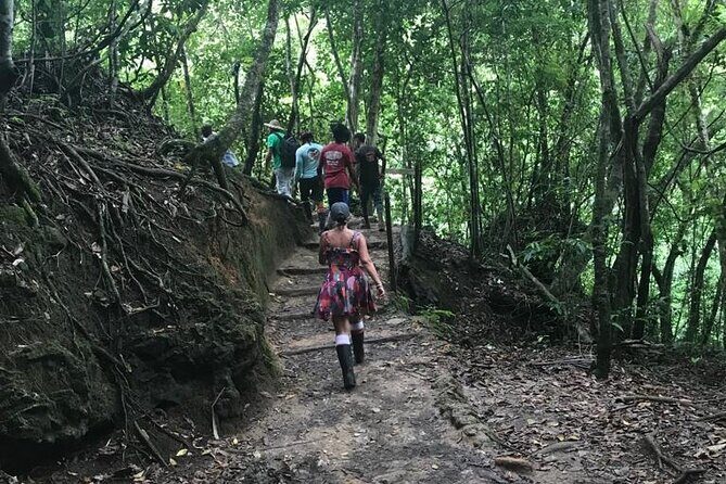 Full Day Tour in Samana and visit to Cascada el Limón - Final Thoughts: Is This Tour Right for You?