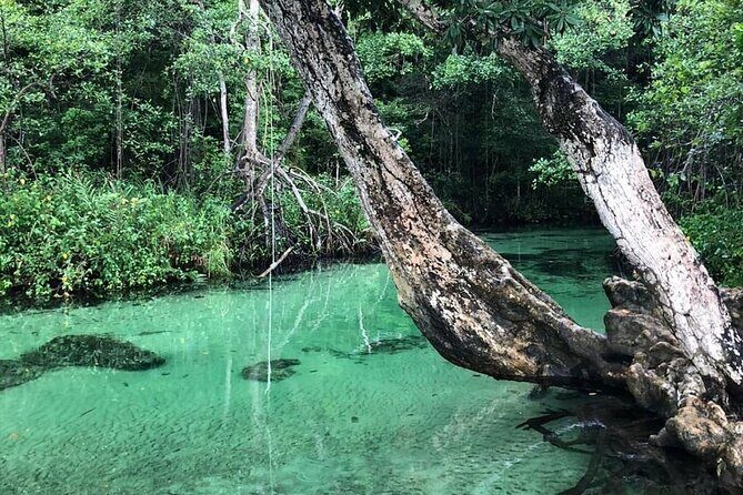 Full-Day Tour in Samaná Serenity - Key Points