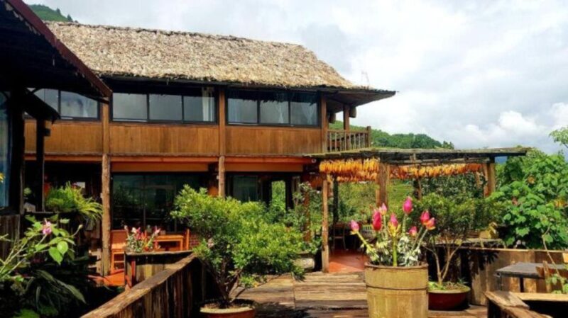 Full Day Tour in Sapa Trekking with Local guide - The Sum Up