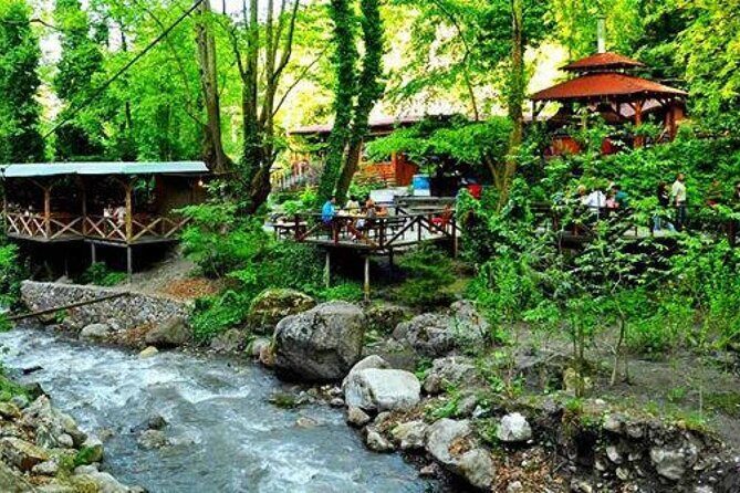 Full Day Tour in Sapanca & Masukiye from Istanbul - What Travelers Say: Honest Feedback and Tips