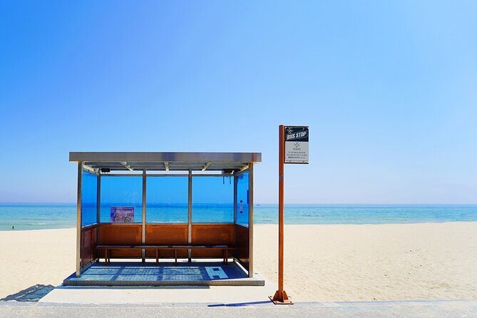 Full Day Tour In The Soop BTS Ver in PyeongChang Filming Location - Exploring the Tour Itinerary in Detail