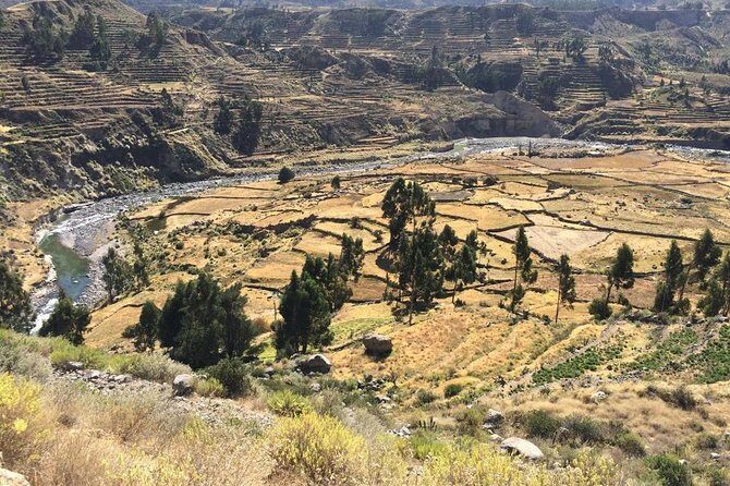 Full Day Tour Including Transfer to Puno / Colca Canyon - FAQ
