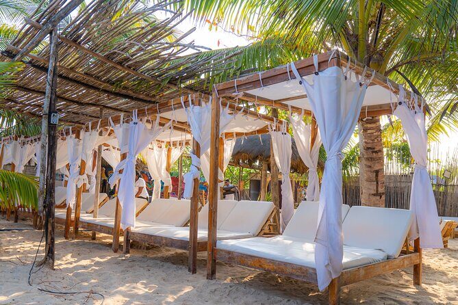 Full-Day Tour Isla Baru - National Aviary of Colombia and Playa Blanca - Exploring Cartagena’s Natural Gems in a Single Day