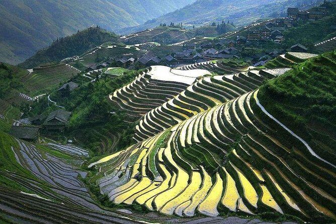 Full-day Tour: Longji Rice Terraces & Minority Villages - An In-Depth Look at the Experience