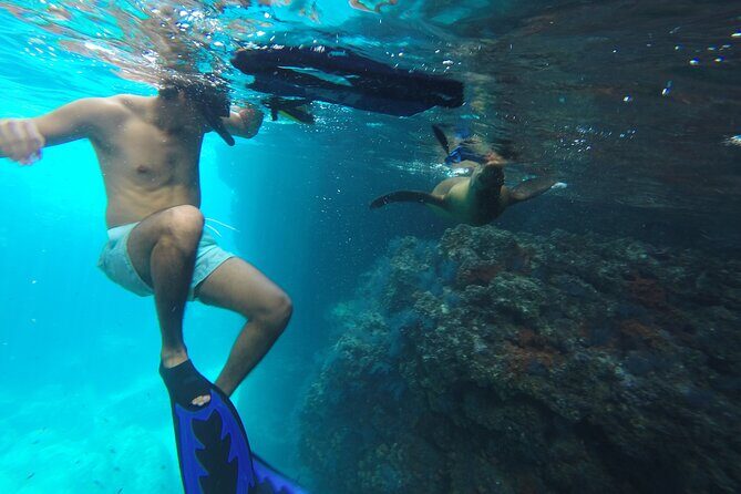 Full-Day Tour Nature Experience at Isla Espiritu Santo! Sea Lions - Logistics and Practical Details