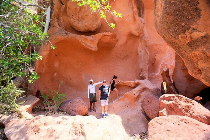Full-Day Tour Nature Experience at Isla Espiritu Santo! Sea Lions - FAQs