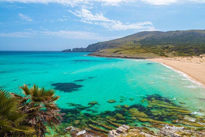 Full-Day Tour of Cala Agulla, and Cala Molto - A Deep Dive into the Full-Day Mallorca Beach Tour