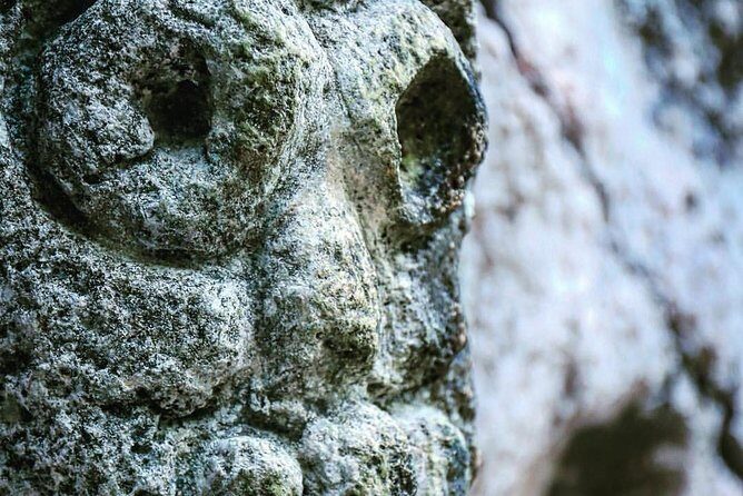 Full-Day Tour of Cayo Levantado and Los Haitises National Park - Frequently Asked Questions