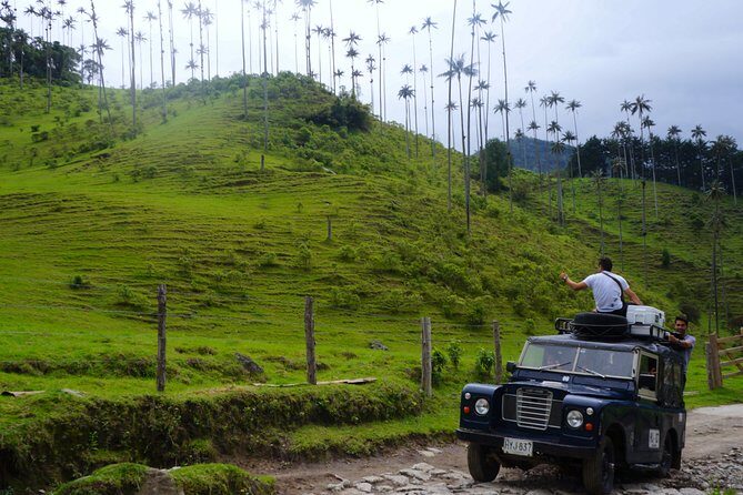 Full Day Tour of Cocora Valley, Salento, and Filandia Coffee Town (from Salento) - Key Points