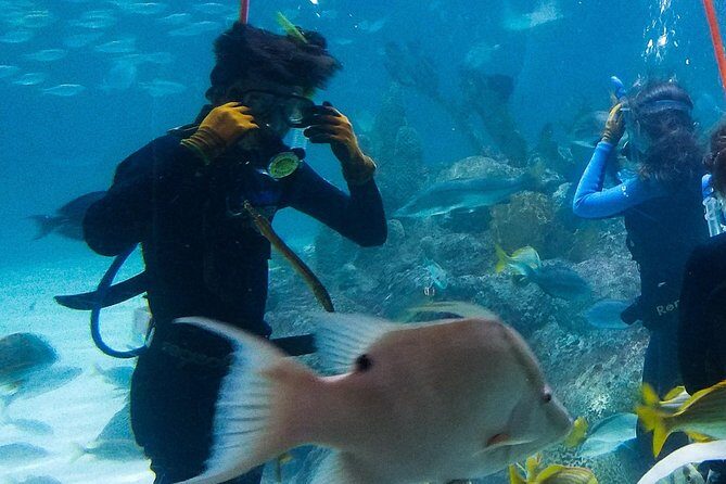 Full-Day Tour of Florida Keys Including Aquarium Encounters from Key West - Key Points