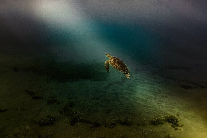 Full Day Tour of Guadeloupe - Who Should Consider This Tour?