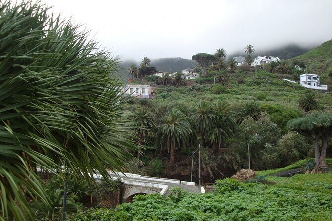 Full Day Tour of Santa Cruz and San Cristóbal de La Laguna - An Unforgettable Full Day Exploring Tenerife: Santa Cruz, La Laguna, and Anaga