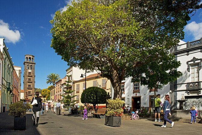 Full Day Tour of Santa Cruz and San Cristóbal de La Laguna - FAQs