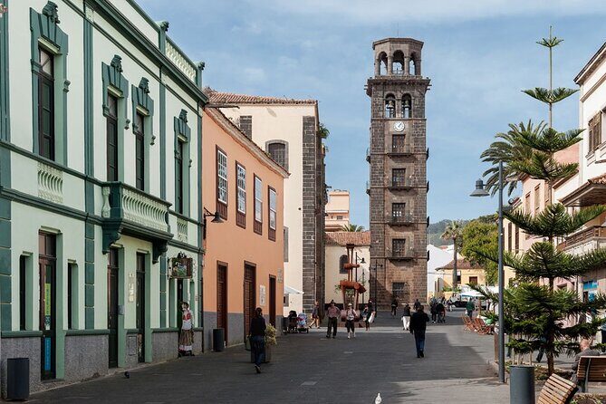 Full Day Tour of Santa Cruz and San Cristóbal de La Laguna - Who Should Book This Tour?