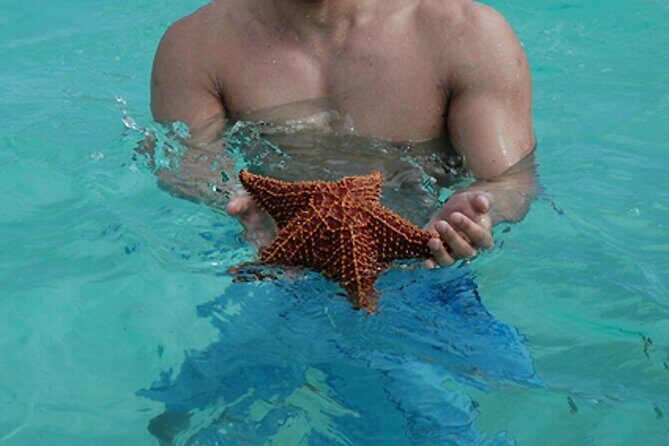 Full-Day Tour of Saona Island from Punta Cana - FAQs